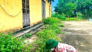 Free cleaning to help single mothers overgrown grass in front of their house