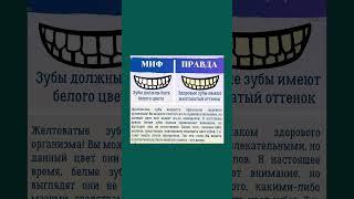 Полезно знать про здоровье зубов #зубы  #здоровье #полезнознать #здоровыезубы #виниры