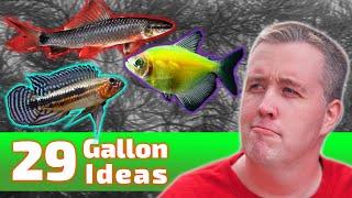 The BEST Ideas for Your 29 Gallon Fish Tank