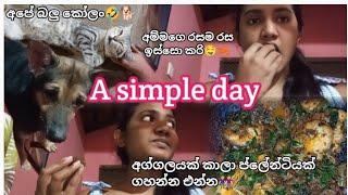 ලස්සන සතුටු දවසක්අග්ගල කාලා සංගීතෙ බලමු A day in my life #nimshi #vlogger #dayvlog