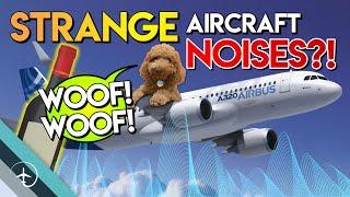 Strange Airplane NOISES! Boeing vs Airbus