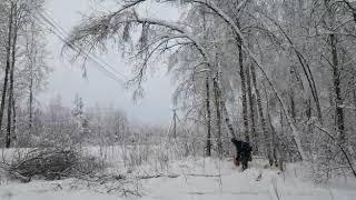 Расчистка просеки ЛЭП от поваленных деревьев