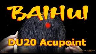 DU20 | Baihui Acupoint |  Governing Vessel | Acupressure VIKUDO