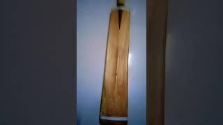 Lohith's Kashmir pillow cricket bat #phonk #cricket #cricketlover #cricketshorts