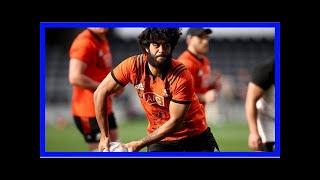 Marc hinton: akira ioane, luke whitelock head queue as abs backup plans at no 8