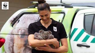 Stephanie Rice Meets Koala Joeys! | WWF-Australia
