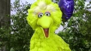 Sesame Street: Happy / Sad Balloons with Big Bird and Telly Monster