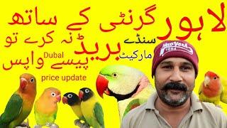 Lahore Sunday birds market Shalimar bagh New update price.2/1/2022 Lahori Entertainment channel