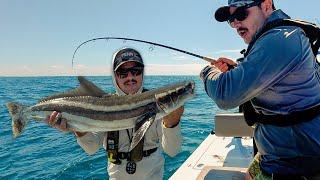 I Was So Close... SOLO Offshore Fishing in a SKIFF | Kingfish, Cobia, Sharks