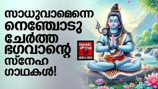 മനസ്സിന് ശാന്തിയേകുന്ന മഹാദേവൻ്റെ ഗാനങ്ങൾ | Shiva Devotional Songs Malayalam | Hindu Devotional