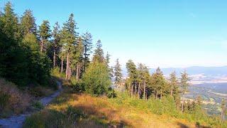 Singletrack Glacensis - Jagodna - Góry Bystrzyckie - część niebieska zjazdowa, stabilizacja gimbal