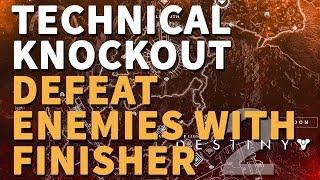 Technical Knockout Destiny 2 (Defeat enemies with your finisher)