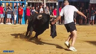 FOIOS GRAN TARDE DE TOROS,GANADERIAS,,"TORRESTRELLA" "JUAN LUIS FRAILE" Y Fdo MACHANCOSES 27-7-2024