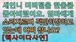 [사이다사연] 적반하장 새언니 머리털을 다 뽑아버렸더니 시원하네요. 사이다썰 미즈넷사연 응징사연 반전사연 참교육사연 라디오사연 핵사이다사연 레전드사연