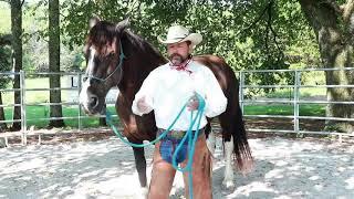 Yielding your horse's shoulder made easy