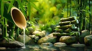 Relaxing Piano Music Bamboo Water Fountain, Sleep Music, Relaxing Music, Meditation Music