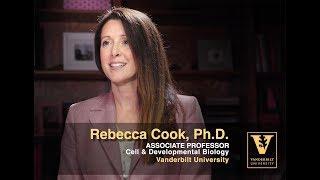 Rebecca Cook Research Overview   Breast Cancer