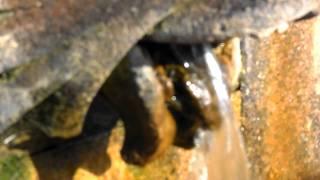 Samsung MV800 Digital Camera Test Video With Zoom