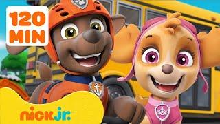 PAW Patrol Back to School Rescues & Adventures!  2 Hours | Nick Jr.