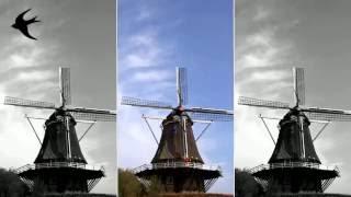 Molen De Zwaluw, Hasselt (Ov.) - Valbeveiliging