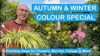 FALL & WINTER COLOUR SPECIAL – AUTUMN PLANTING IDEAS FOR FLOWERS, BERRIES & MORE + POTS + TULIPS