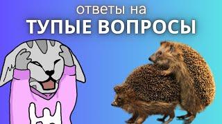 ВОПРОСЫ, НА КОТОРЫЕ НЕ ОТВЕЧАЮТ НОРМАЛЬНЫЕ БЛОГГЕРЫ