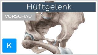 Hüftgelenk: Aufbau und Funktion (Vorschau) - Anatomie des Menschen | Kenhub