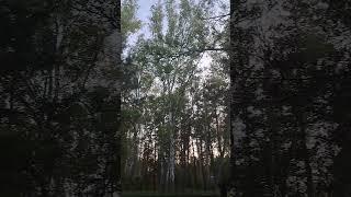20 мая 2025 г.