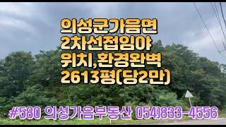 #580 의성가음부동산 2차선접한 임야 2613평(당2만원)  시세보다 많이 싼 물건 #의성부동산#군위부동산#의성땅#군위땅#의성촌집#군위촌집#싼땅#임야#자연인#묘터