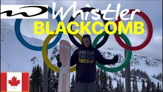 Whistler Mountain: Ski and Village Review