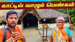 தமிழ்நாட்டு பெண்ணின் வானக வீடு | Tamilnadu Organic Farm | Jaffna Suthan