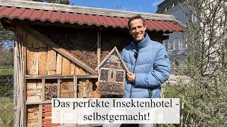 Die BIENEN kommen  Insektenhotels selber & mit den richtigen Materialien gestalten!