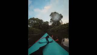 Sunset Paddle in the forest!