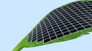 [S1] [E02] 09 Different Types of Photovoltaic Panels (Eng Sub)