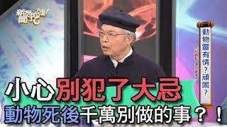 【精華版】小心別犯了大忌 動物死後千萬別做的事？！