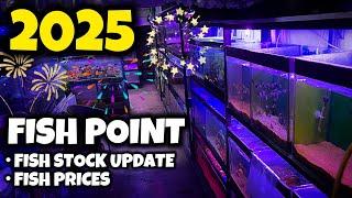 2025 Fish Point Stock Update & Price | Latest Lalukhet Aquarium Market Fish Prices - Imran's World