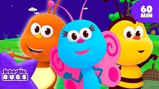 Big Adventure! Fun Discoveries & Friendship | 60 min | Boogie Bugs nursery rhymes