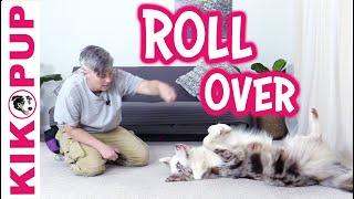 Dog Trick  Training Roll Over