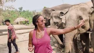 Thatman Travels to Chai Lai Orchid Elephant Sanctuary in Thailand