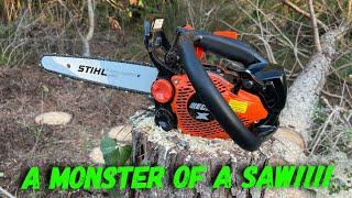 My BRAND new chainsaw & its nasty!!!