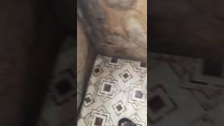 Приключения вахтовика жесть и веселье