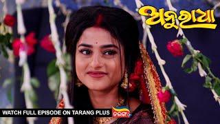 Anuradha | Ep-233 | 5th June 2024 | Watch Full Episode Now On Tarang Plus