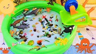 SEA ANIMALS FOR TODDLERS: POWDER BLUE TANG, MOLA MOLA, CLARK'S ANEMONEFISH, BLUE WHALE, AND OTHERS