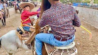 ESTE CABALLO ME QUIZO TUMBAR EN ERMITA DE GUADALUPE JEREZ ZACATECAS