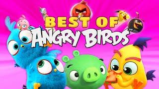 Best Of Angry Birds | Chapter 7