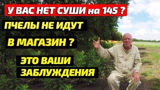 Как заставить пчел идти в магазин  Как заставить пчел тянуть вощину