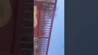 LUV KUSH VATIKA IS DANGEROUS PLACE IN KUKAS #viralvideo #viral #dangerousplaces #shortsvideo #shorts