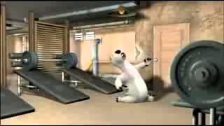 Bunty in the gym