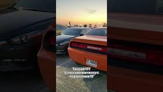 Успевай подняться бро #белаятемка #темнаятемка #motivation #money #деньги #шортсы #телеграмтапалка