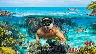 Diving a SECRET REEF in South Florida